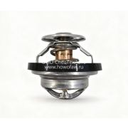 Термостат T5G 201V06402-6005 201V06402-6005